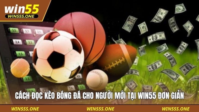 Cách Đọc Kèo Bóng Đá Cho Người Mới Tại Win55 Đơn Giản 1 cách đọc kèo bóng đá cho người mới