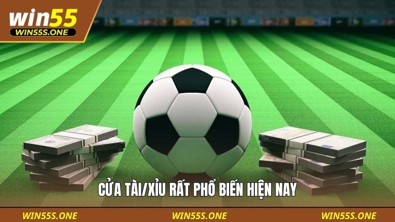 Cách Đọc Kèo Bóng Đá Cho Người Mới Tại Win55 Đơn Giản 3 Cửa Tài/Xỉu rất phổ biến hiện nay
