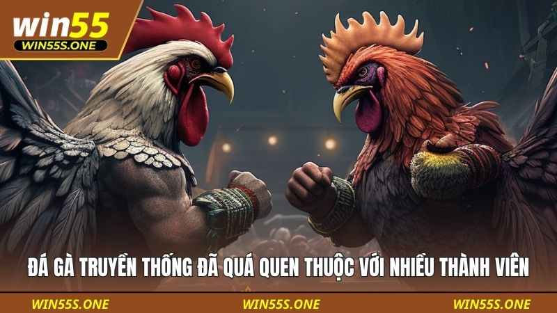 Hình thức cược đá gà truyền thống đã quá quen thuộc với nhiều thành viên