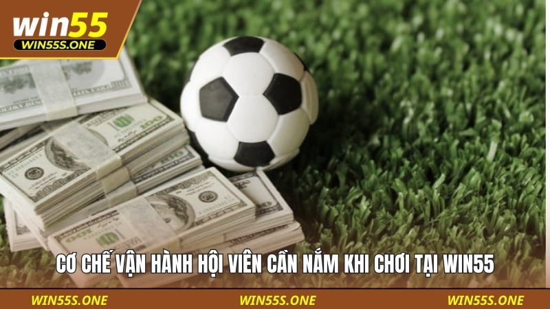 Hướng Dẫn Quản Lý Vốn Khi Cá Cược Bóng Đá Chuẩn Chiến Thuật 4 Cơ chế vận hành hội viên cần nắm khi chơi tại Win55