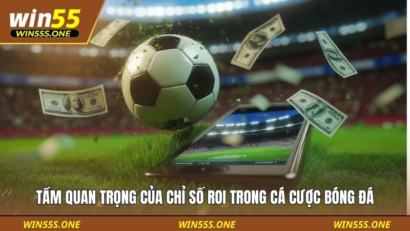 Hướng Dẫn Quản Lý Vốn Khi Cá Cược Bóng Đá Chuẩn Chiến Thuật 3 Tầm quan trọng của chỉ số ROI trong cá cược bóng đá