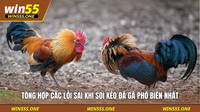 Tổng Hợp Các Lỗi Sai Khi Soi Kèo Đá Gà Phổ Biến Nhất 4 Lỗi sai khi soi kèo đá gà