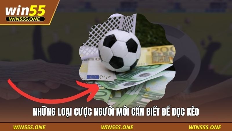 Cách Đọc Kèo Bóng Đá Cho Người Mới Tại Win55 Đơn Giản 4 Những loại cược người mới cần biết để đọc kèo