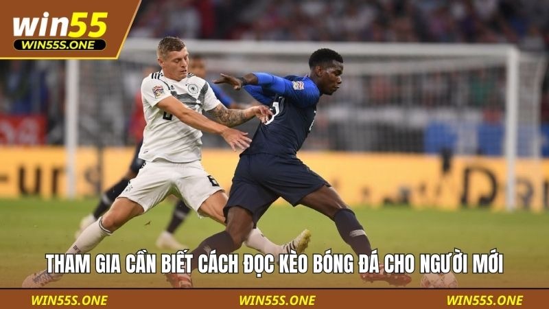 Cách Đọc Kèo Bóng Đá Cho Người Mới Tại Win55 Đơn Giản 2 Tham gia cần biết cách đọc kèo bóng đá cho người mới