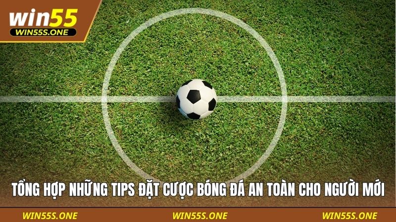 Tổng hợp những tips đặt cược bóng đá an toàn cho người mới
