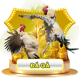 đá gà win55